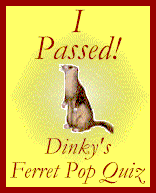 I passed Dinky's Ferret Pop Quiz!